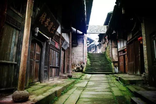 新春赏“梅”景!170多盆“大师级”盆景一次看过瘾